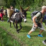 Il Trek con gli asini organizzato da AKU è un’escursione facile ed istruttiva