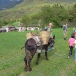 Adulti e bambini al Trek con gli asini di AKU