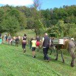 AKU organizza il Trek con gli asini