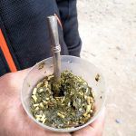mate de coca